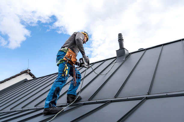 Best Roof Maintenance and Cleaning  in Hildale, UT